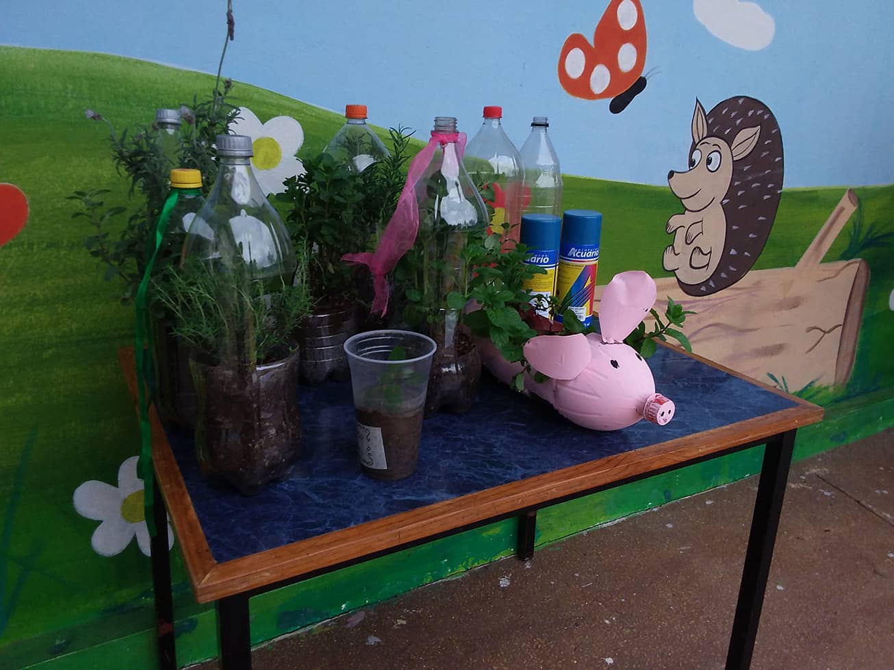  Jardín de la salud Preescolar