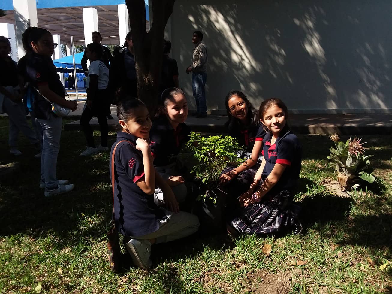 Reforestación Ayuntamiento de Poza Rica y Colegio San Ángel Poza Rica