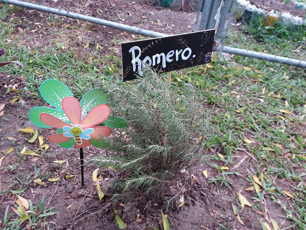 Patrick's Day 2019 Colegio San Ángel Poza Rica