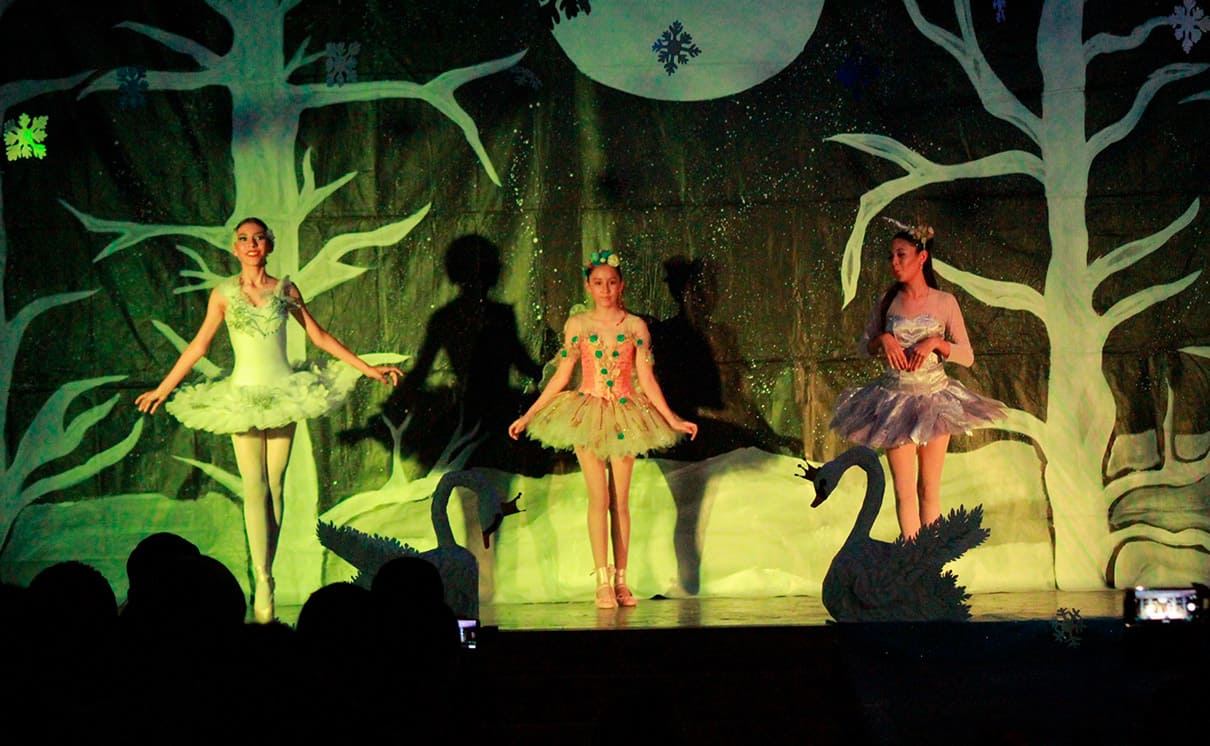 SWAN LAKE 