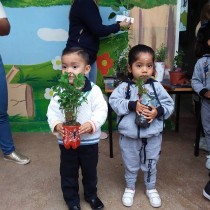  Jardín de la salud Preescolar