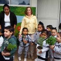  Jardín de la salud Preescolar