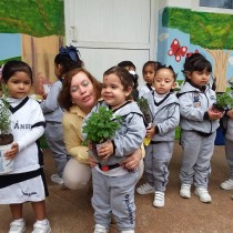  Jardín de la salud Preescolar