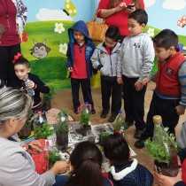  Jardín de la salud Preescolar