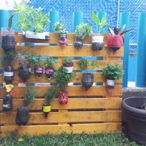  Jardín de la salud Preescolar