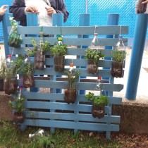 Jardín de la salud Preescolar