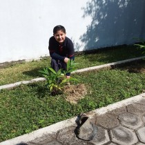 Reforestación Ayuntamiento de Poza Rica y Colegio San Ángel Poza Rica