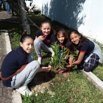 Reforestación Ayuntamiento de Poza Rica y Colegio San Ángel Poza Rica