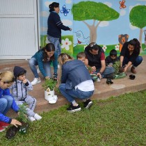  Jardín de la salud Preescolar