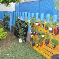  Jardín de la salud Preescolar