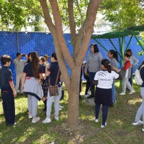 Reforestación Ayuntamiento de Poza Rica y Colegio San Ángel Poza Rica