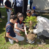 Reforestación Ayuntamiento de Poza Rica y Colegio San Ángel Poza Rica
