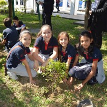 Reforestación Ayuntamiento de Poza Rica y Colegio San Ángel Poza Rica