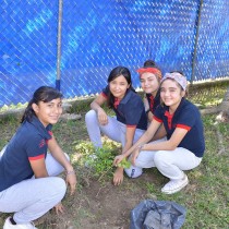 Reforestación Ayuntamiento de Poza Rica y Colegio San Ángel Poza Rica