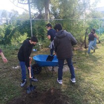 JARDIN3