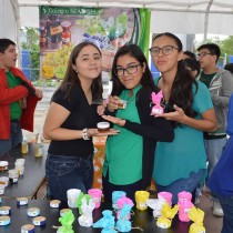 Patrick's Day 2019 Colegio San Ángel Poza Rica