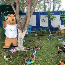 Patrick's Day 2019 Colegio San Ángel Poza Rica