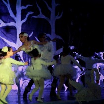 SWAN LAKE 