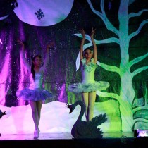 SWAN LAKE 