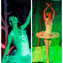 swan lake 03
