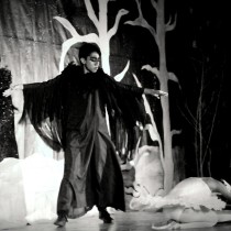 swan lake 04