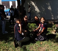 Reforestación Ayuntamiento de Poza Rica y Colegio San Ángel Poza Rica