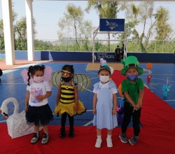 Fantasy Spring Runway