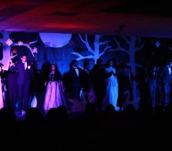 swan lake 01